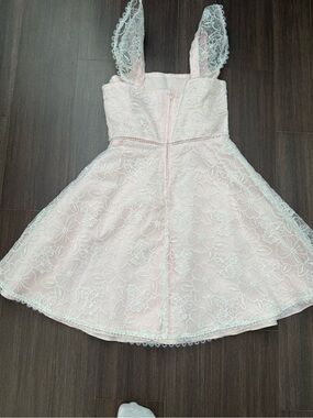 Rare Editions Light Pink Lace Floral Party Dress